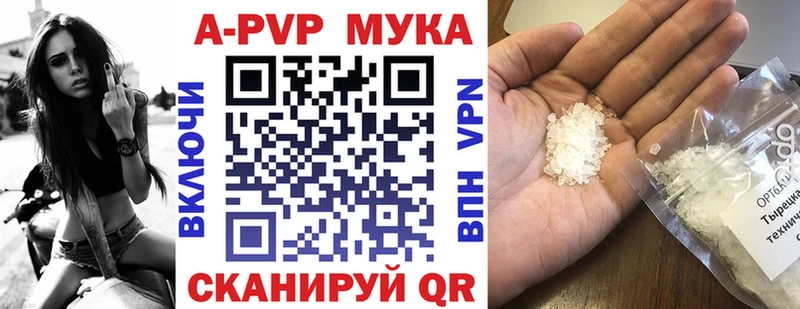A-PVP СК КРИС  Шали 