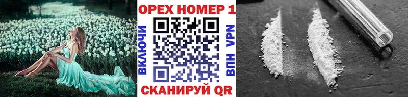 Cocaine 99% Шали