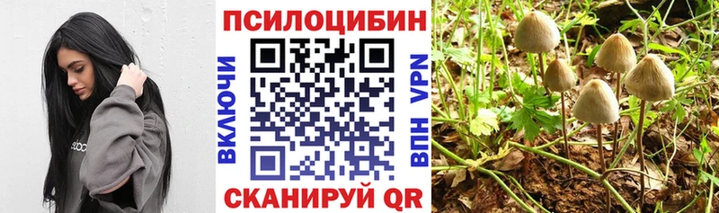 Галлюциногенные грибы Magic Shrooms  Шали 